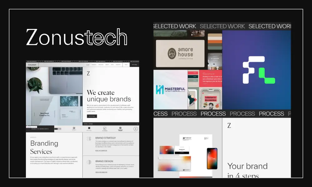 Zonustech agency picture project